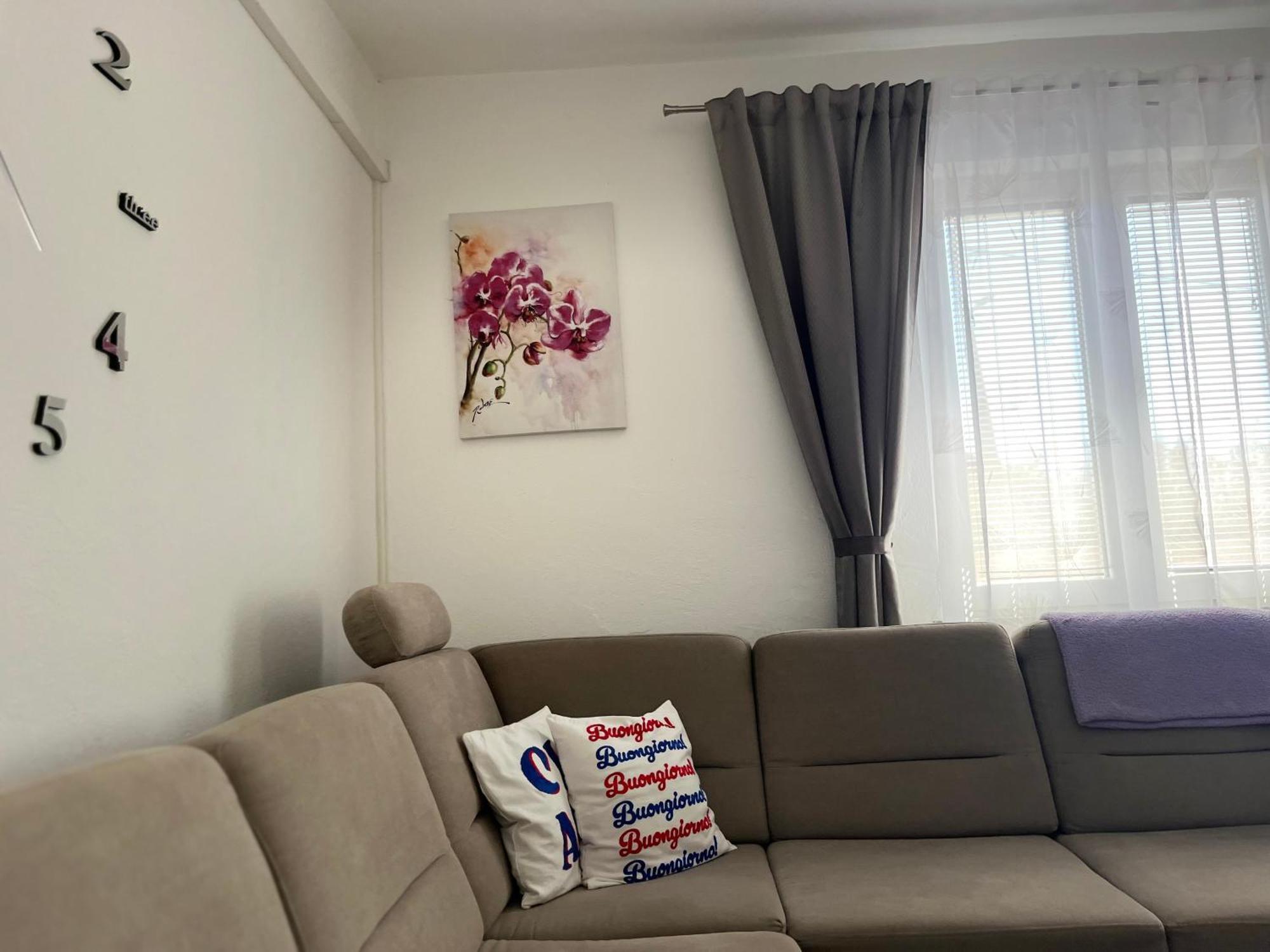 זאדאר Apartman Marta מראה חיצוני תמונה